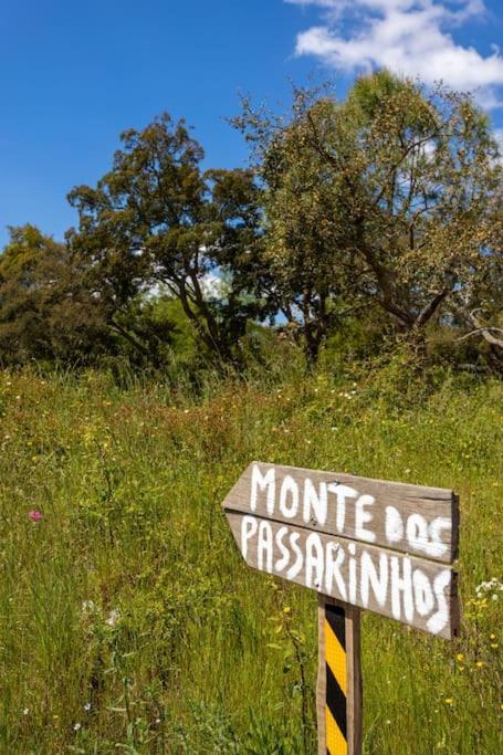 Villa Monte Dos Passarinhos Grândola Exterior foto