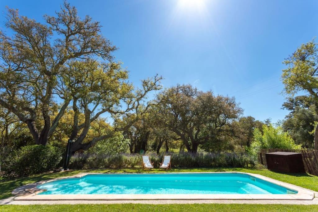 Villa Monte Dos Passarinhos Grândola Exterior foto